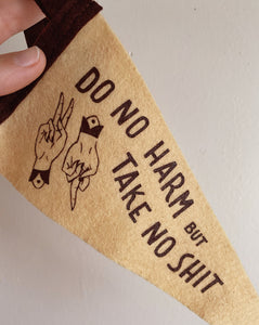 "Do No Harm But Take No Shit" Pennant Flags