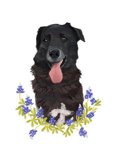 Custom Pet Portrait Illustrations